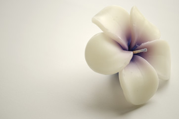 decorative candle in the form of a white flower on a light background

