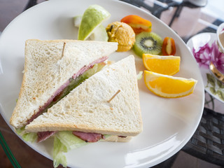 Closeup club sandwich on white dish 1
