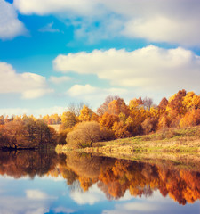 Obraz premium Autumn Landscape. Yellow Trees, Blue Sky and Lake. Nature Scenery in Fall. Beautiful Season Background with Reflection in Water. Toned Photo with Copy Space.
