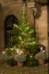 Fototapeta na wymiar Christmas tree in front of a building