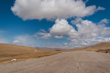 Fototapeta na wymiar Country road in Mongolia