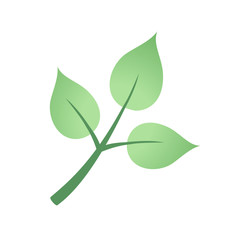 Obraz premium plant design