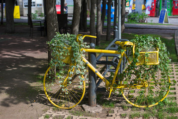 Yellow bicycle with ivy