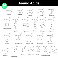 Biogenic amino acids formulas