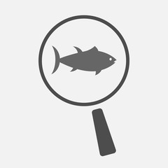 Isolated magnifier with  a tuna fish