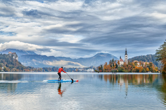 Stand up male paddle surfer training at Bled lake in Slovenia. Beautiful Alps mountain and castle on island at background. Autumn season, forest with fall yellow leaves trees at background. 