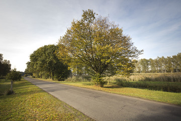 Fototapeta premium Autumn theme.