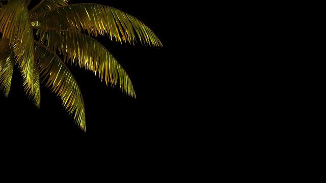 The branch of palm, palm tree in the wind.
With alpha channel. File format - mov. Codeck-PNG+Alpha