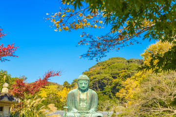 The Great Buddha in Kamakura.  Foreground is maple tree.Located in Kamakura, Kanagawa Prefecture Japan.