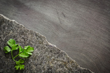 parsley leaves on a dark polished stone with an irregular fracture. Against the background of ebony Top view, space for text