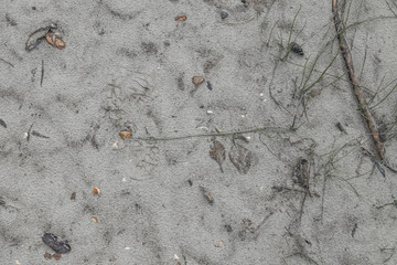 Fußabdrücke von Wanderschuhen im Sand