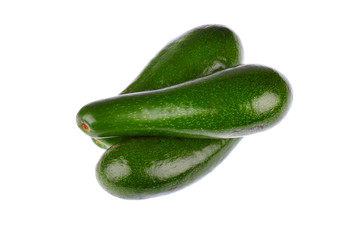 avocado on white background