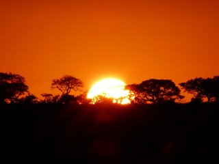 Sonnenaufgang in der Savanne, Südafrika - 128498824