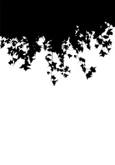 Leaves silhouette isolated on white background