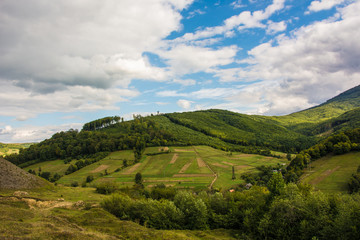 Fototapeta na wymiar Carpathian Mountains
