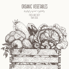 Fresh vegetables in basket vector illustration. Natural farm food. Drawn in ink