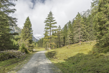 Fototapeta na wymiar Wanderweg im Göriachtal im Lungau 