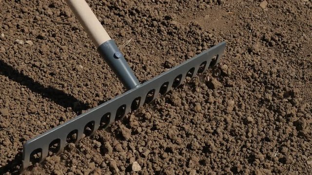 Close-up spreading and leveling ground with metal rake slow motion 1080p HD footage - Manual using weed raker for grading garden soil for outdoor activities slow-mo 1920X1080 FullHD video 