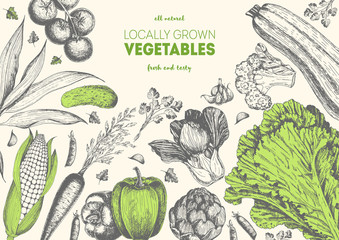 Vegetables top view frame. Organic food poster. Vector illustration. Linear graphic.