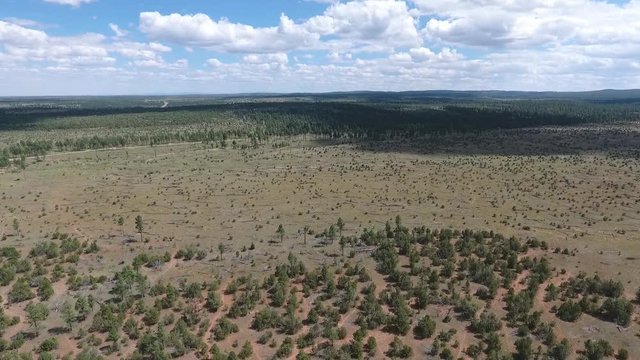 Drone Landscape Woods