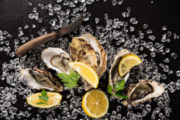 Oysters on stone plate, close-up.