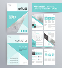 page layout for company profile, annual report, brochure, and flyer layout template. with info graphic element. and vector A4 size for editable