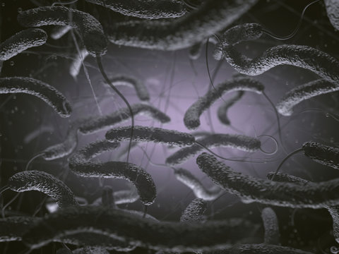 Bacteria Vibrio Cholerae, Gram-negative. 3D illustration of bacteria with flagella.