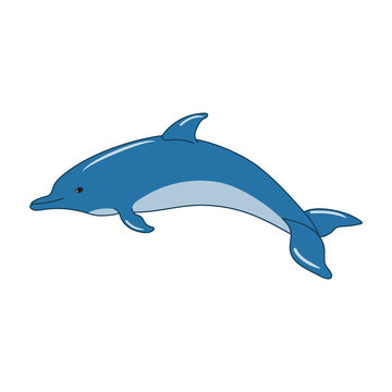 Cute dolphin cartoon vector illustration