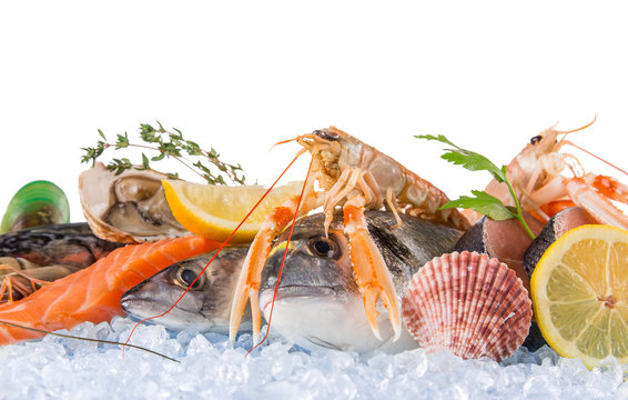 Fresh seafood on crushed ice.
