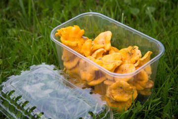disposable plastic container with mushrooms