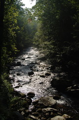 On the River