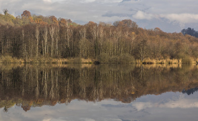 Lac de Sainte Hélène - Savoie.