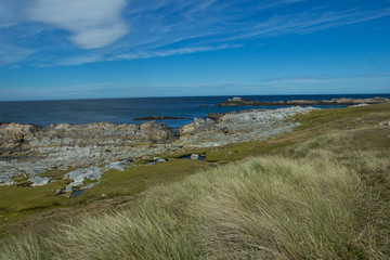 rocky beach of Falkland Islands