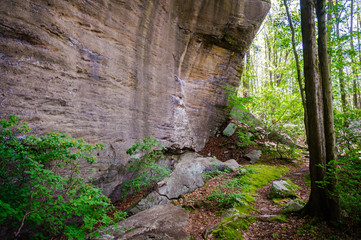 Allegheny National Forest Rock Formations 