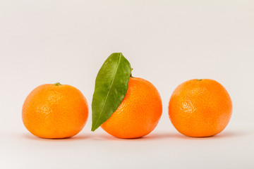 Three mandarin orange citrus, one with green leaf, isolated on white background
