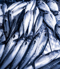 Obraz premium Fresh seafood. Fresh fish in the market