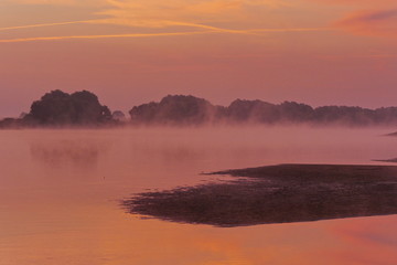 Obraz premium Moprgenstimmung an der Elbe- Biosphärenreservat Niedersächsische Elbtalaue