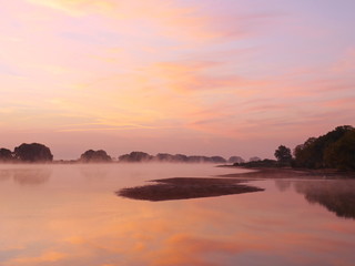 Obraz premium Moprgenstimmung an der Elbe- Biosphärenreservat Niedersächsische Elbtalaue