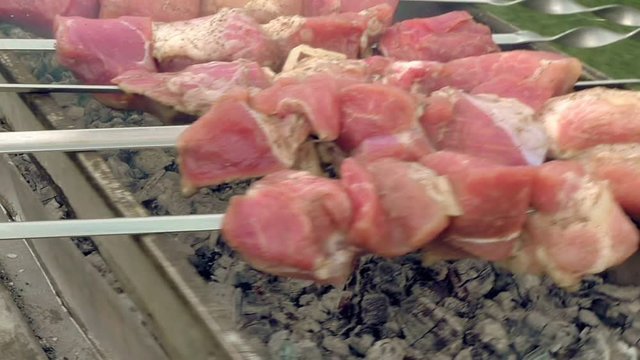 Barbeque skewers with meat cooking on hot coal ember brazier Outdoors picnic concept.