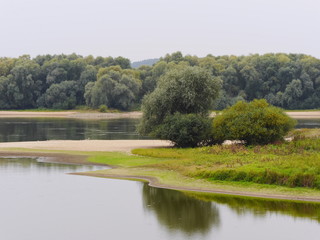 Elbauen mit Altarm