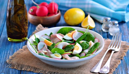 Salad of squid with boiled quail and chicken eggs, radish, green apple and baby spinach with olive oil and lemon juice.