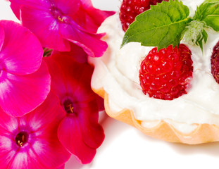 Still-life with a dessert, raspberry mint and phlox.