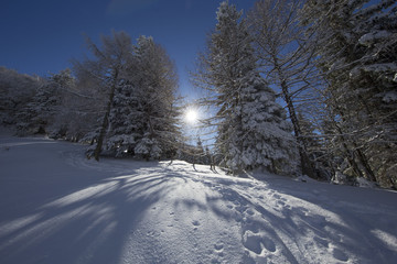 Verschneite Berglandschaft in den österreichischen Aalpen