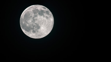 Obraz premium Full Moon