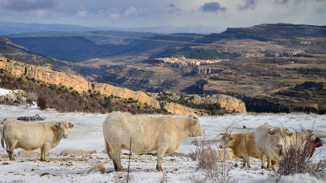 CANTAVIEJA SOL Y NIEVE