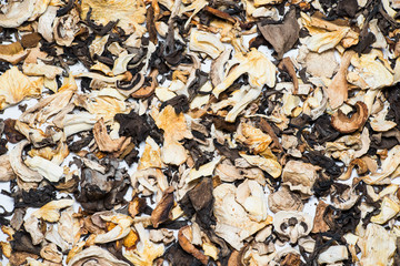 Dried gourmet mix mushrooms. Hand-picked from the forest, sliced and dried.