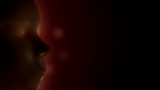 Sleeping baby fetus inside of pregnant woman