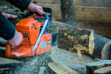 harvesting of wood for the winter. Chainsaw cut tree 