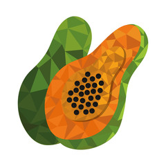 fresh fruit low poly style vector illustration design