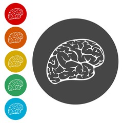 Brain icon, Brain Logo silhouette 